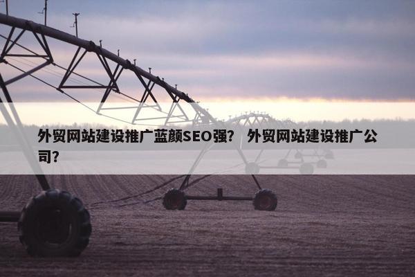 外贸网站建设推广蓝颜SEO强？ 外贸网站建设推广公司？