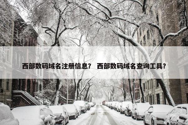 西部数码域名注册信息？ 西部数码域名查询工具？