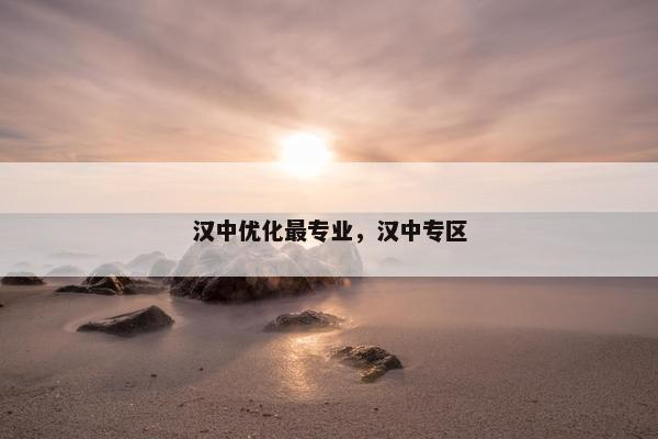 汉中优化最专业，汉中专区