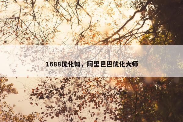 1688优化知，阿里巴巴优化大师