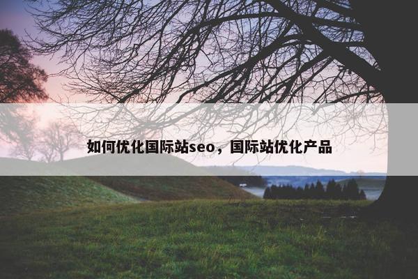 如何优化国际站seo,国际站优化产品 如何优化国际站seo,国际站优化产品