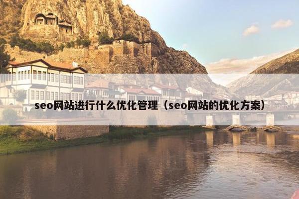 seo网站进行什么优化管理（seo网站的优化方案）