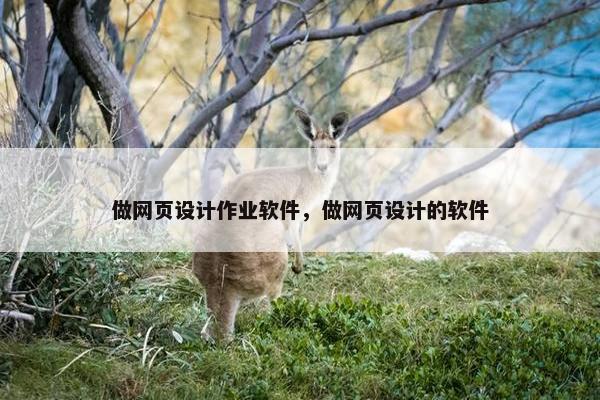 做网页设计作业软件，做网页设计的软件
