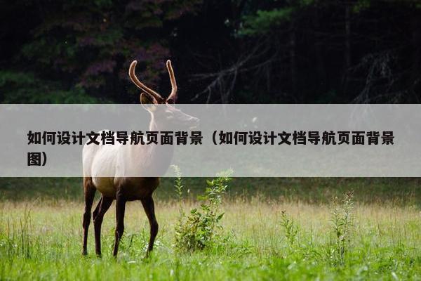如何设计文档导航页面背景（如何设计文档导航页面背景图）