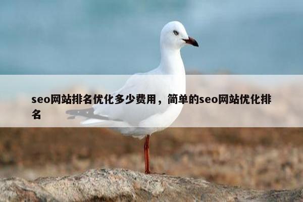 seo网站排名优化多少费用，简单的seo网站优化排名