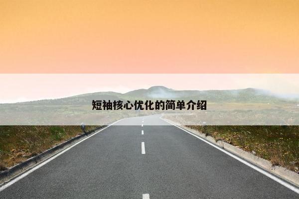 短袖核心优化的简单介绍