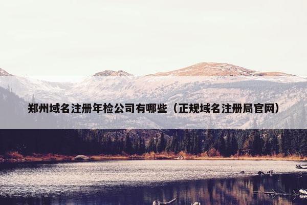 郑州域名注册年检公司有哪些（正规域名注册局官网）
