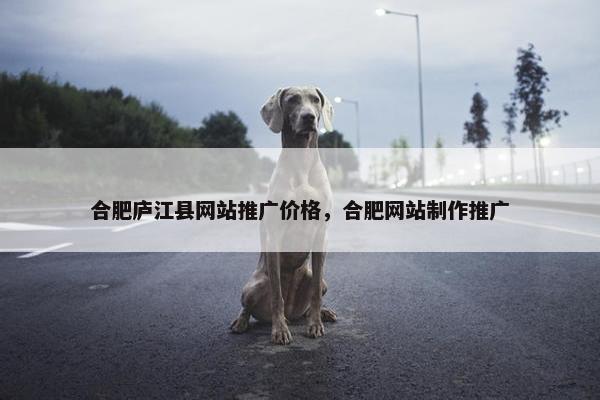 合肥庐江县网站推广价格，合肥网站制作推广