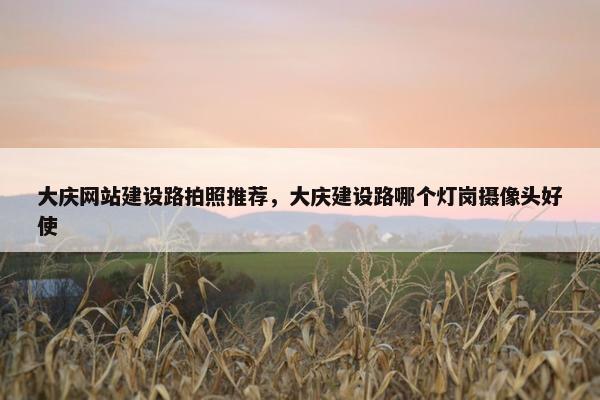 大庆网站建设路拍照推荐，大庆建设路哪个灯岗摄像头好使