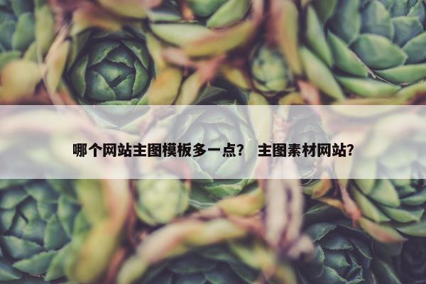 哪个网站主图模板多一点？ 主图素材网站？