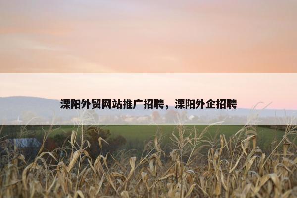 溧阳外贸网站推广招聘，溧阳外企招聘