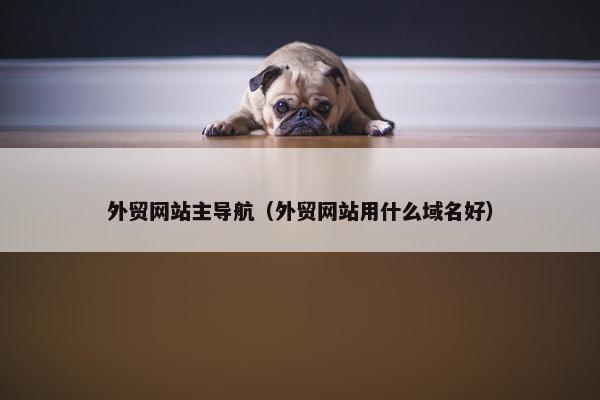 外贸网站主导航（外贸网站用什么域名好）