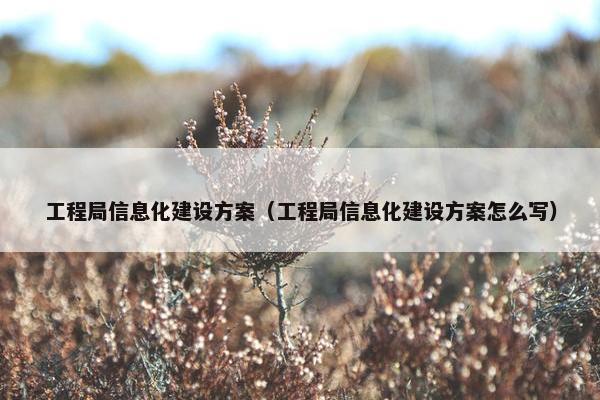 工程局信息化建设方案（工程局信息化建设方案怎么写）