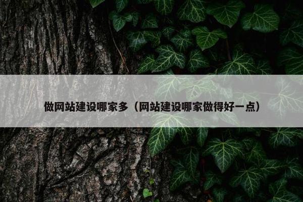 做网站建设哪家多（网站建设哪家做得好一点）