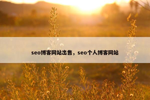 seo博客网站出售，seo个人博客网站