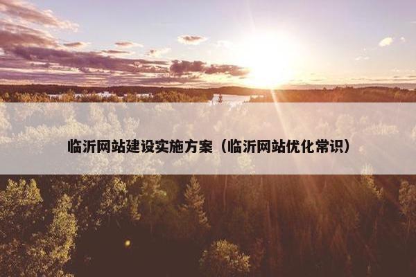 临沂网站建设实施方案（临沂网站优化常识）