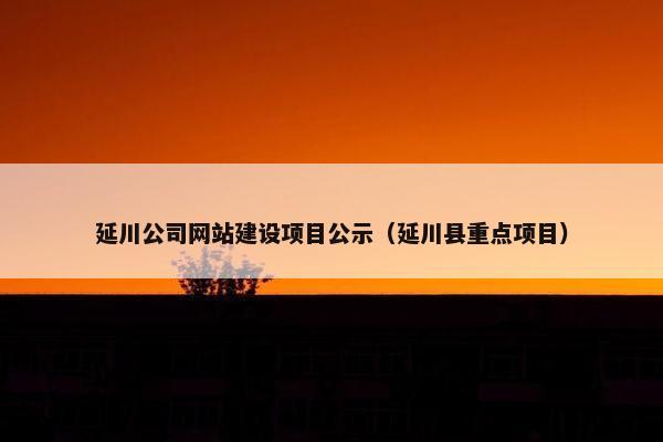 延川公司网站建设项目公示（延川县重点项目）