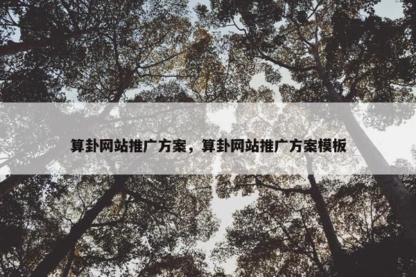 算卦网站推广方案，算卦网站推广方案模板