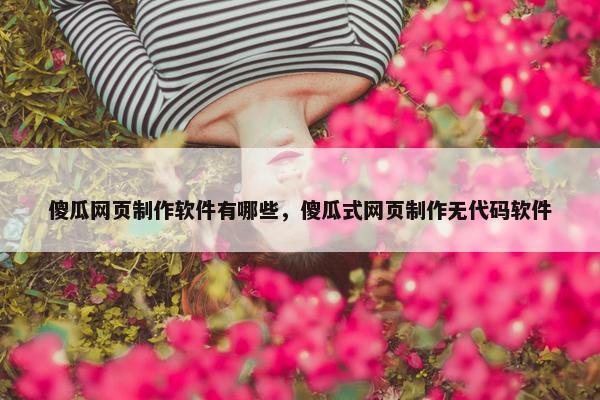 傻瓜网页制作软件有哪些，傻瓜式网页制作无代码软件