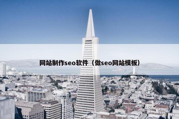 网站制作seo软件（做seo网站模板）