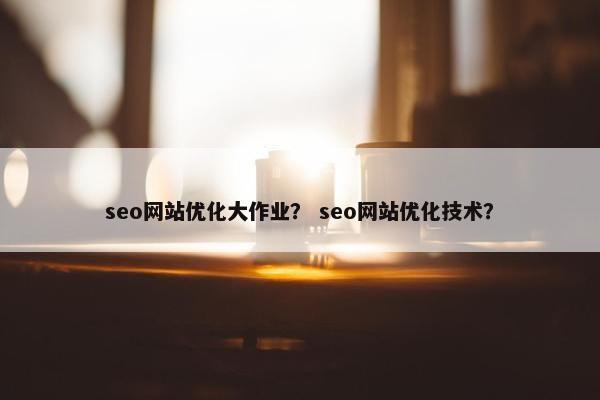 seo网站优化大作业？ seo网站优化技术？