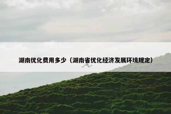 湖南优化费用多少（湖南省优化经济发展环境规定）