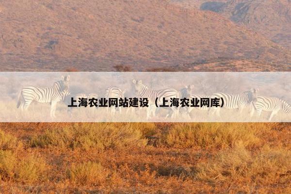 上海农业网站建设（上海农业网库）