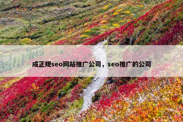 成正规seo网站推广公司，seo推广的公司