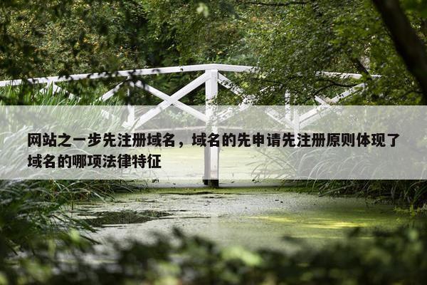 网站之一步先注册域名，域名的先申请先注册原则体现了域名的哪项法律特征