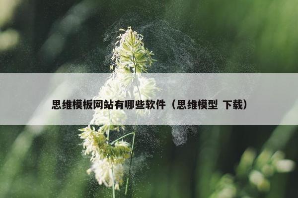 思维模板网站有哪些软件（思维模型 下载）