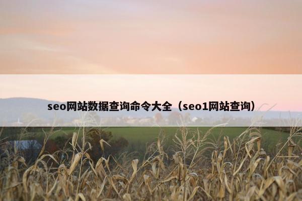 seo网站数据查询命令大全（seo1网站查询）