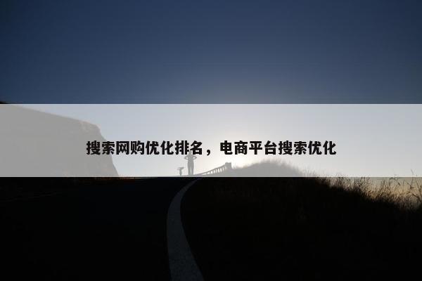 搜索网购优化排名，电商平台搜索优化