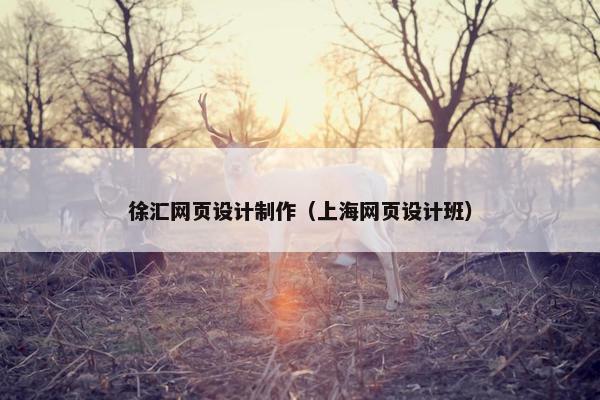 徐汇网页设计制作（上海网页设计班）