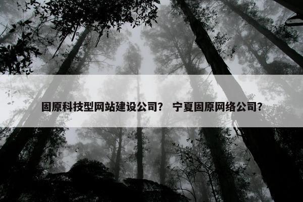 固原科技型网站建设公司？ 宁夏固原网络公司？