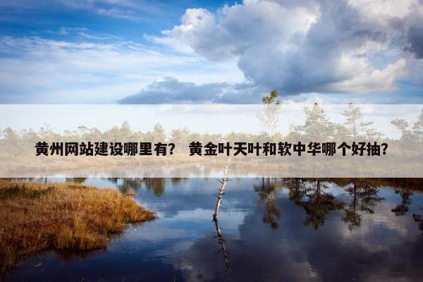 黄州网站建设哪里有？ 黄金叶天叶和软中华哪个好抽？