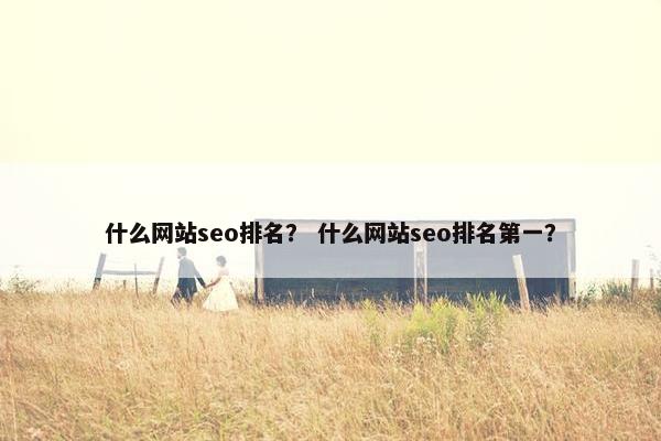 什么网站seo排名？ 什么网站seo排名第一？