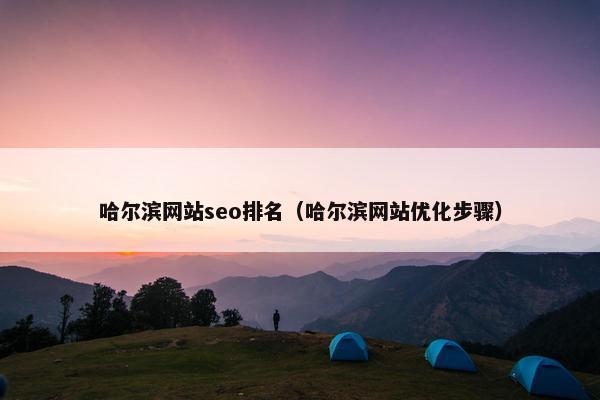 哈尔滨网站seo排名（哈尔滨网站优化步骤）