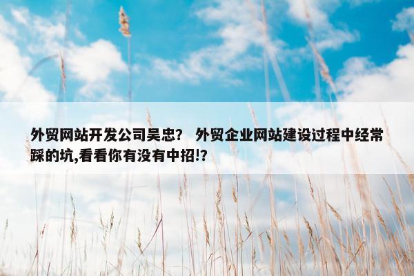 外贸网站开发公司吴忠？ 外贸企业网站建设过程中经常踩的坑,看看你有没有中招!？