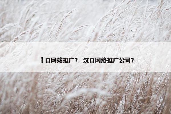 硚口网站推广？ 汉口网络推广公司？