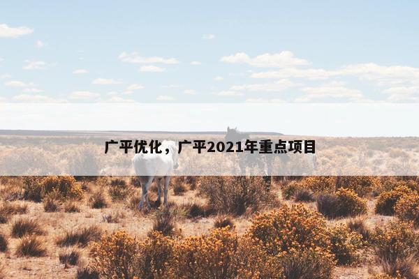 广平优化，广平2021年重点项目