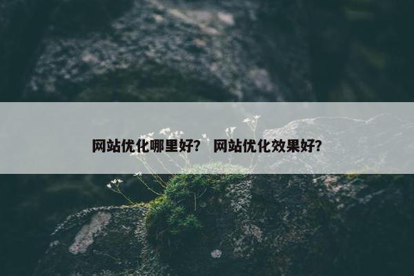 网站优化哪里好？ 网站优化效果好？