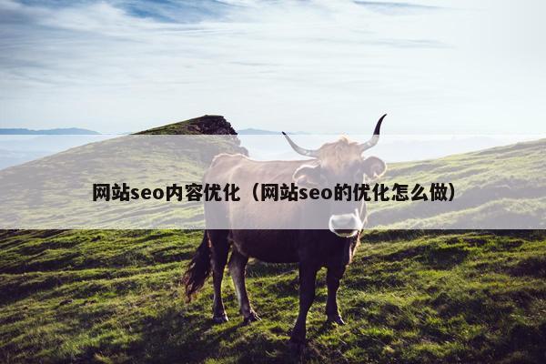 网站seo内容优化（网站seo的优化怎么做）