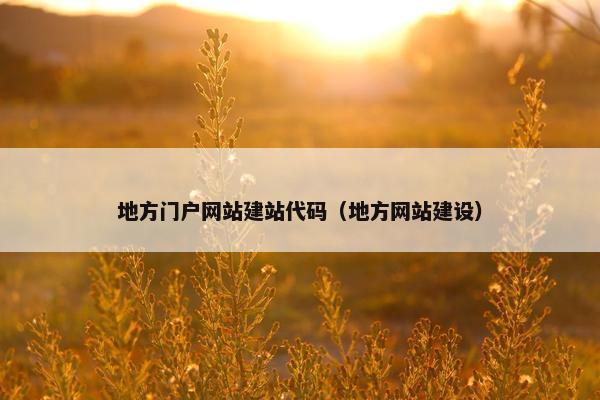 地方门户网站建站代码（地方网站建设）