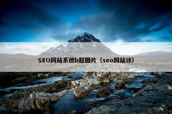 SEO网站系统b超图片（seo网站诊）