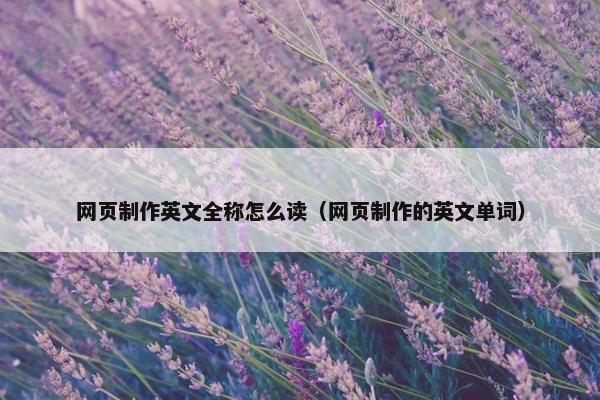 网页制作英文全称怎么读（网页制作的英文单词）