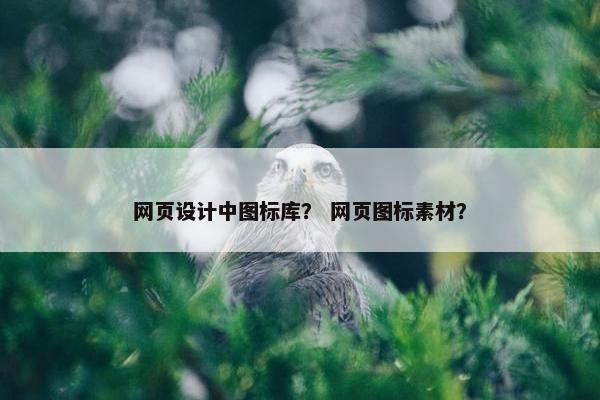 网页设计中图标库？ 网页图标素材？
