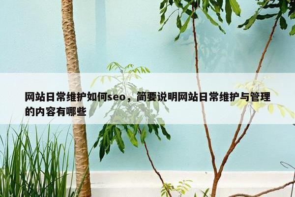 网站日常维护如何seo，简要说明网站日常维护与管理的内容有哪些