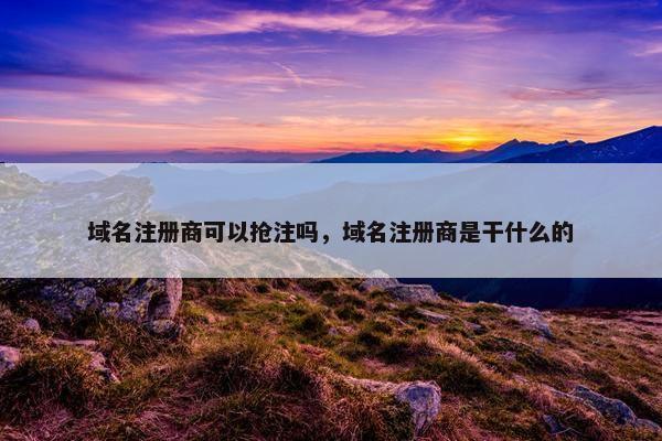 域名注册商可以抢注吗，域名注册商是干什么的