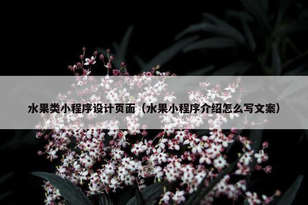 水果类小程序设计页面（水果小程序介绍怎么写文案）