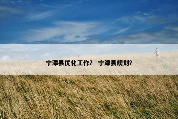 宁津县优化工作？ 宁津县规划？